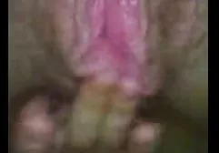 یاقوت کبود ساقه بزرگ سکسس فارسی الاغ